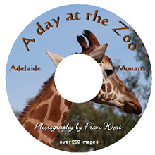 dvd_a_day_at_the_zoo.jpg